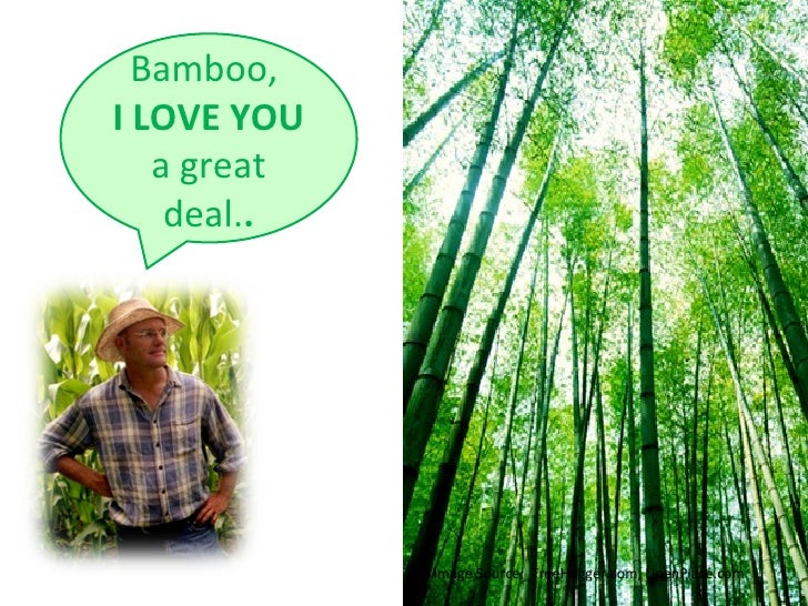 The Legend of Bambo